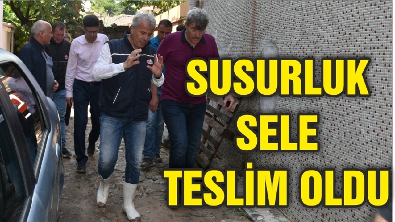 SUSURLUK SELE TESLİM OLDU