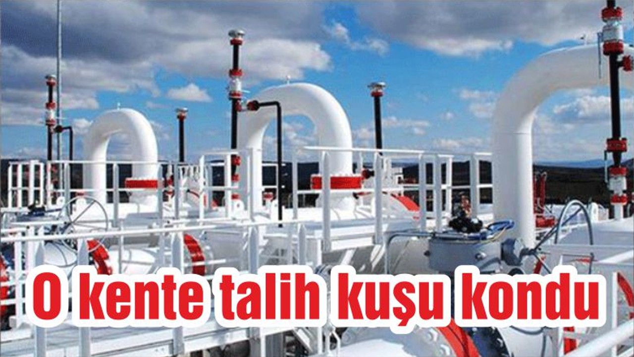 O kente talih kuşu kondu