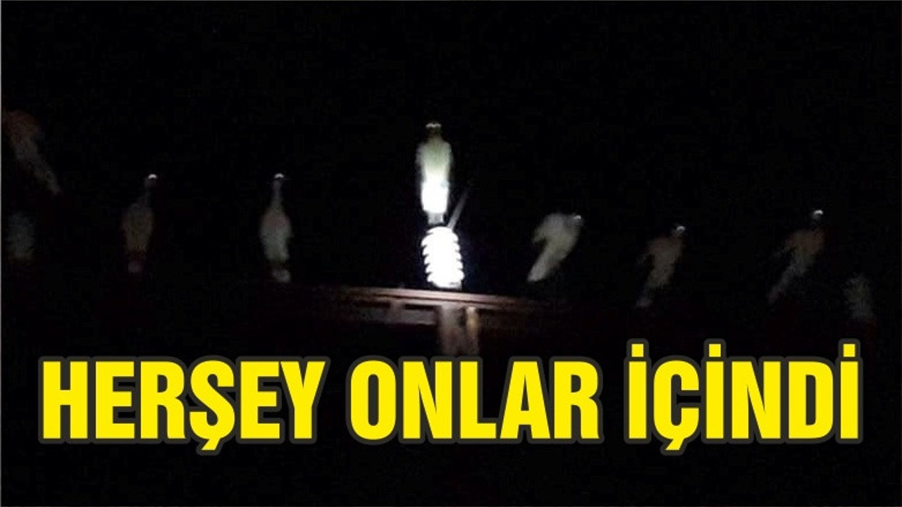 SINDIRGI ONLAR İÇİN KARANLIĞA GÖMÜLDÜ