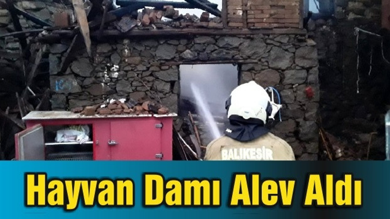 Hayvan Damı Alev Aldı