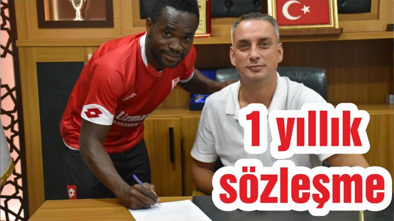 1 yıllık sözleşme
