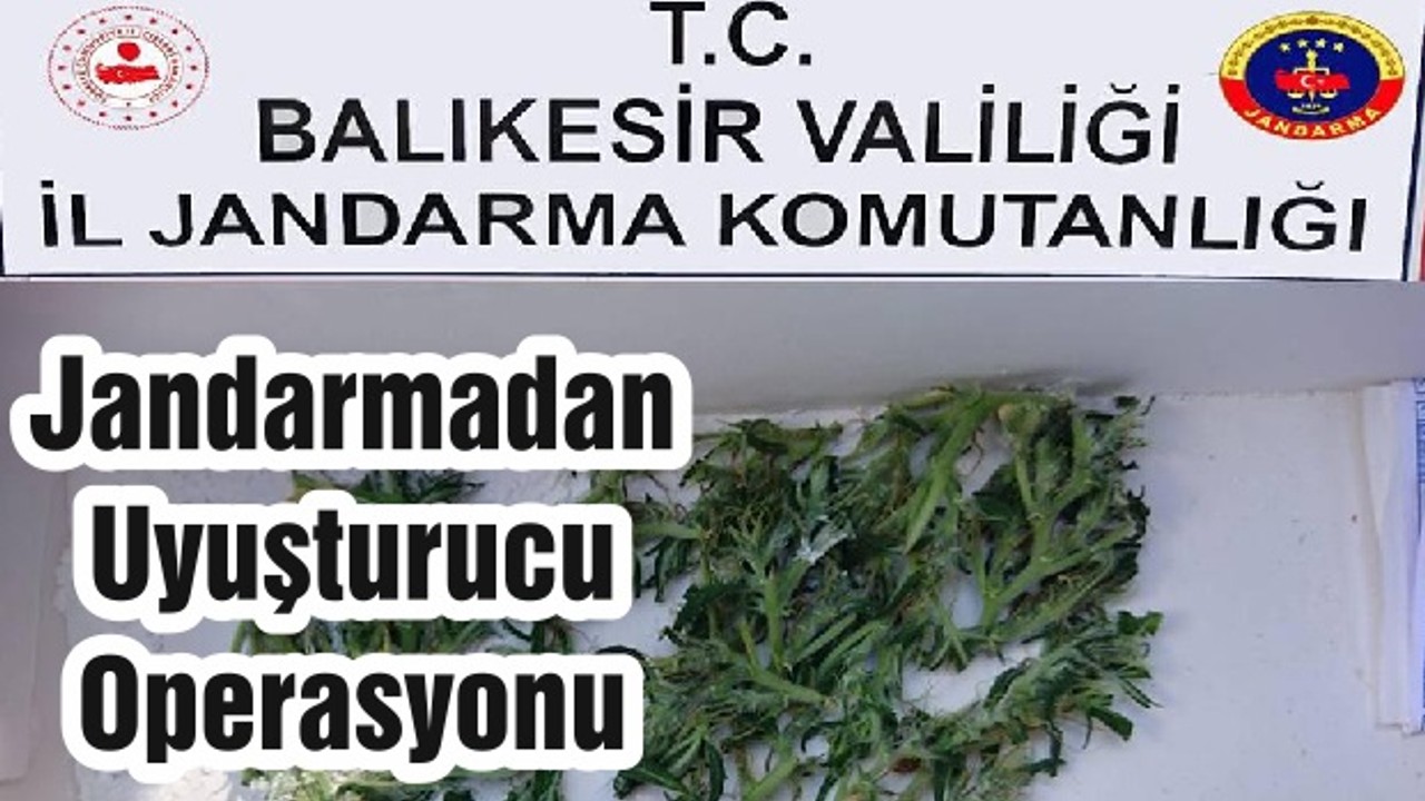 Jandarmadan Uyuşturucu Operasyonu
