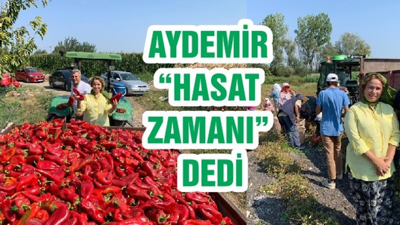 AYDEMİR “HASAT ZAMANI” DEDİ