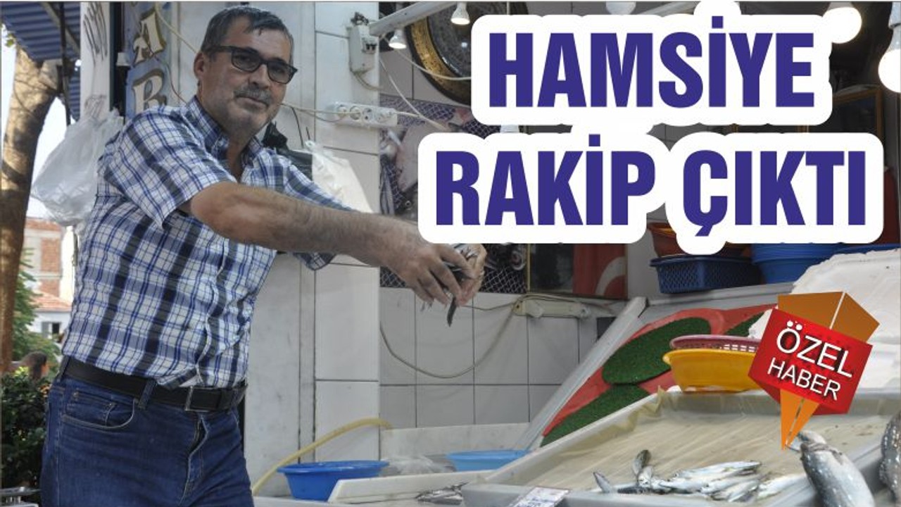 HAMSİYE RAKİP ÇIKTI