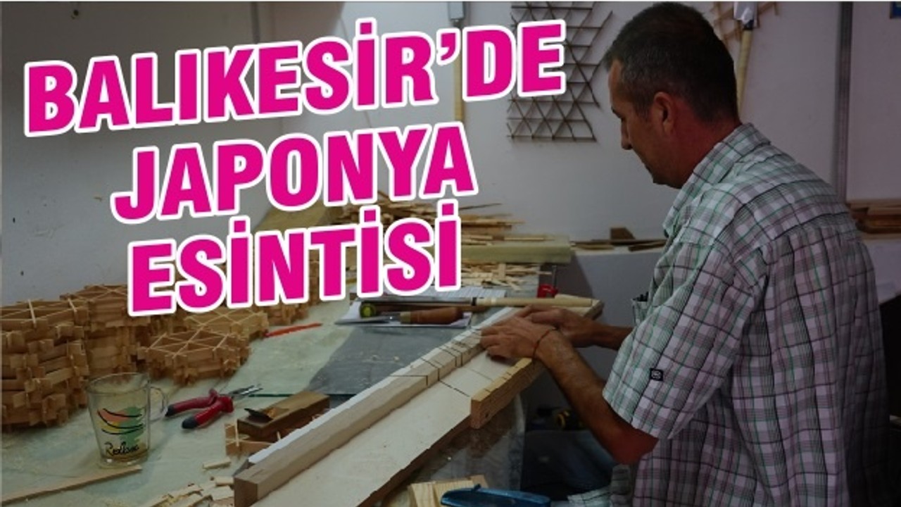 BALIKESİR’DE JAPONYA ESİNTİSİ