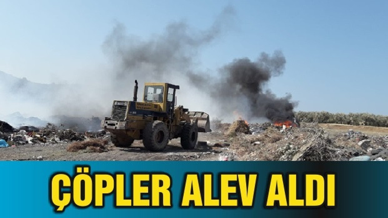 ÇÖPLER ALEV ALDI