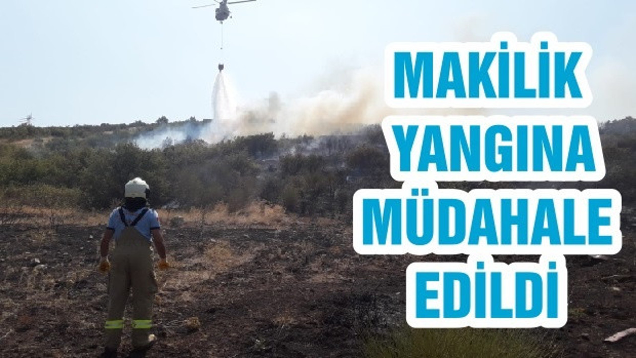 MAKİLİK YANGINA MÜDAHALE EDİLDİ