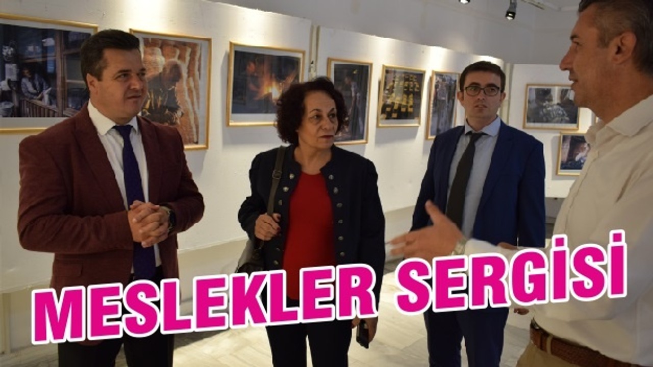MESLEKLER SERGİSİ