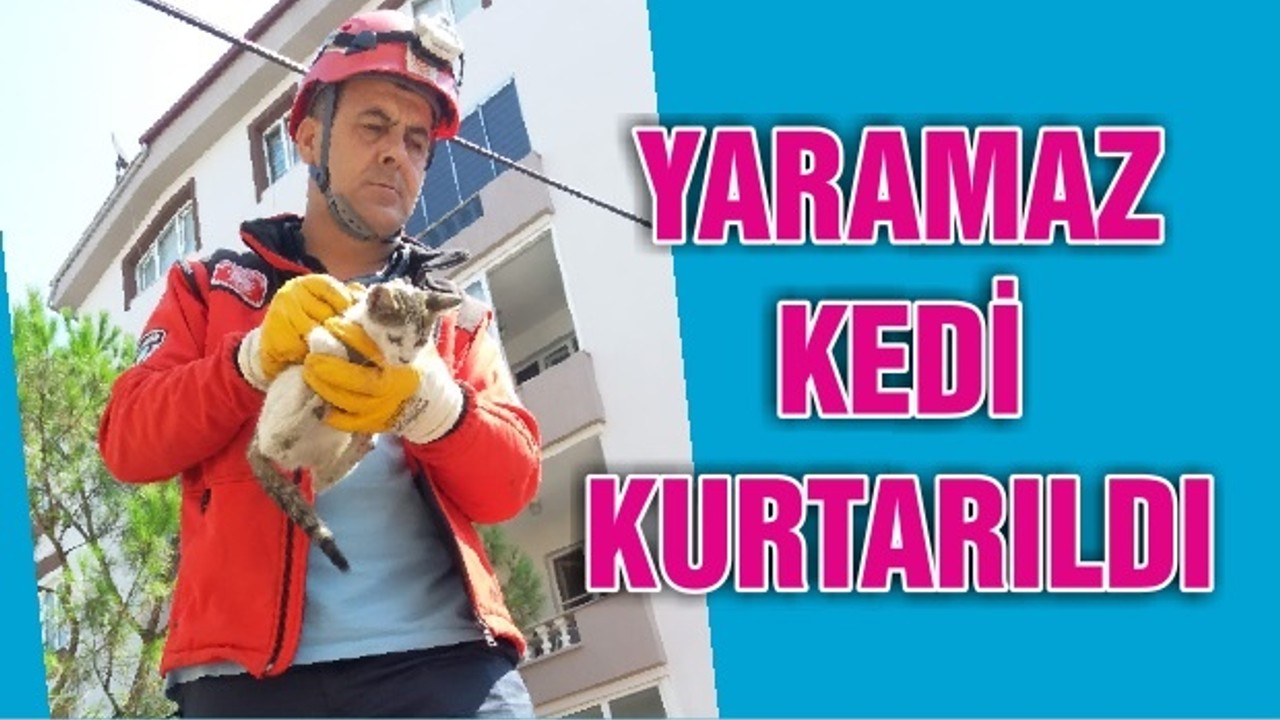 YARAMAZ KEDİ KURTARILDI