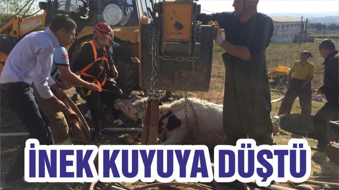 İNEK KUYUYA DÜŞTÜ