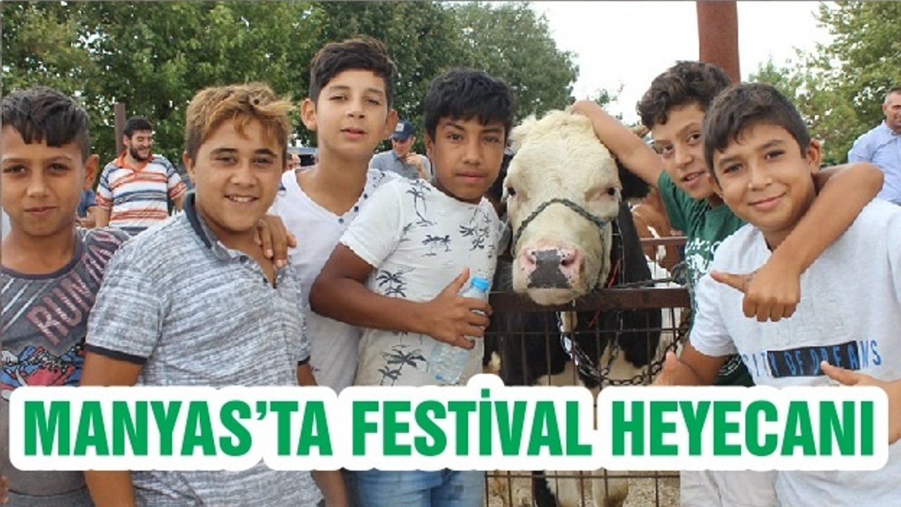 MANYAS’TA FESTİVAL HEYECANI