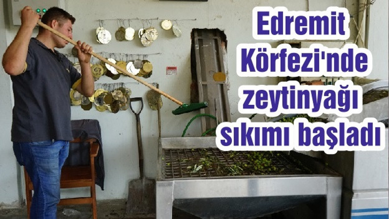 Edremit Körfezi'nde zeytinyağı sıkımı başladı