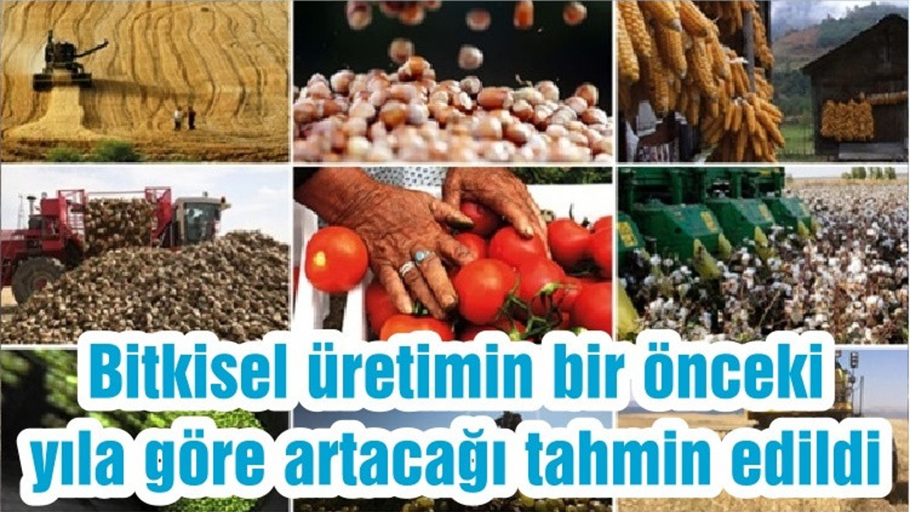 Bitkisel üretimin bir önceki yıla göre artacağı tahmin edildi