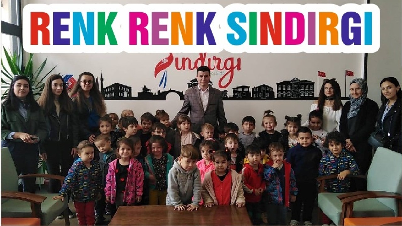 RENK RENK SINDIRGI