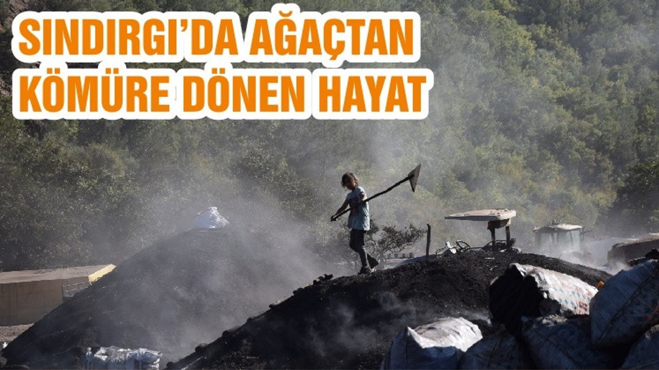 SINDIRGI’DA AĞAÇTAN KÖMÜRE DÖNEN HAYAT