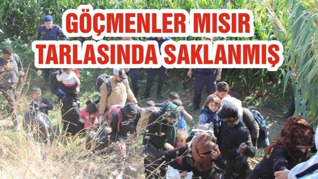 GÖÇMENLER MISIR TARLASINDA SAKLANMIŞ