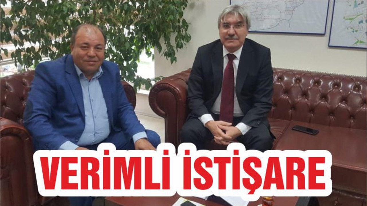 VERİMLİ İSTİŞARE