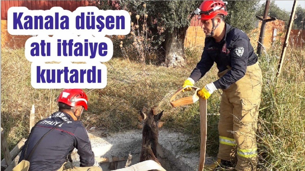 Kanala düşen atı itfaiye kurtardı