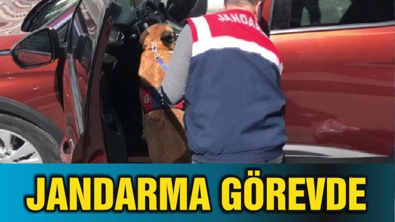 JANDARMA GÖREVDE