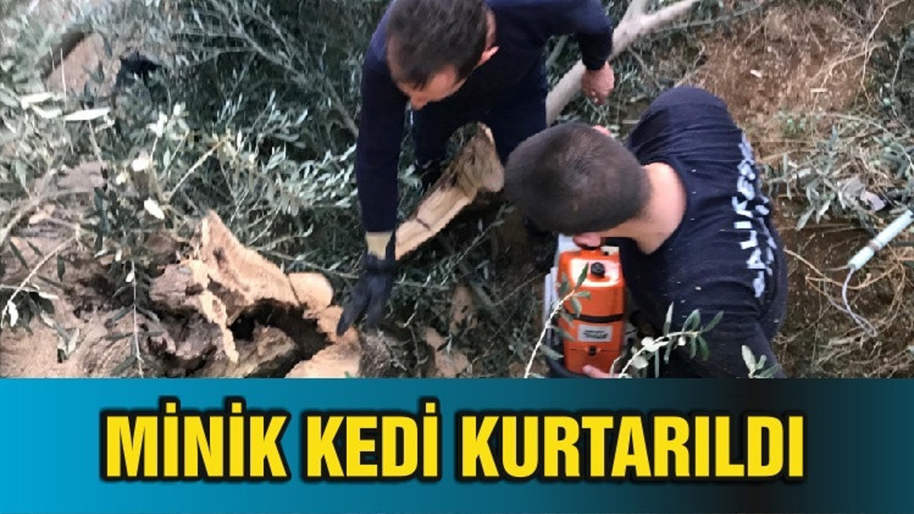 MİNİK KEDİ KURTARILDI