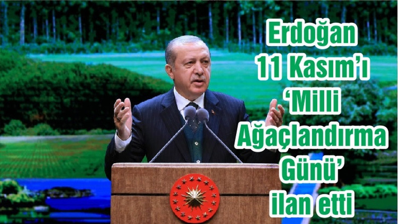Erdoğan 11 Kasım’ı ‘Milli Ağaçlandırma Günü’ ilan etti