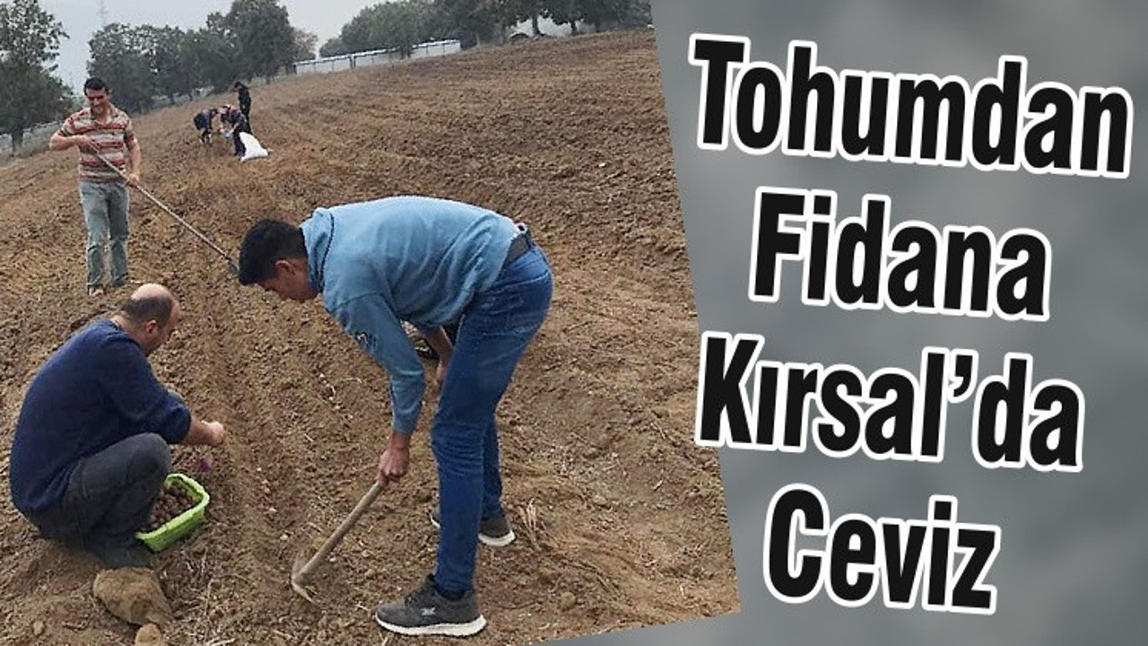 Tohumdan Fidana Kırsal’da Ceviz
