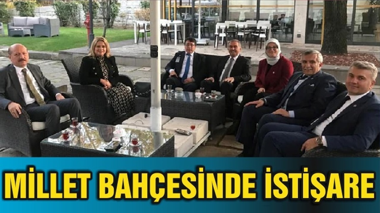 MİLLET BAHÇESİNDE İSTİŞARE