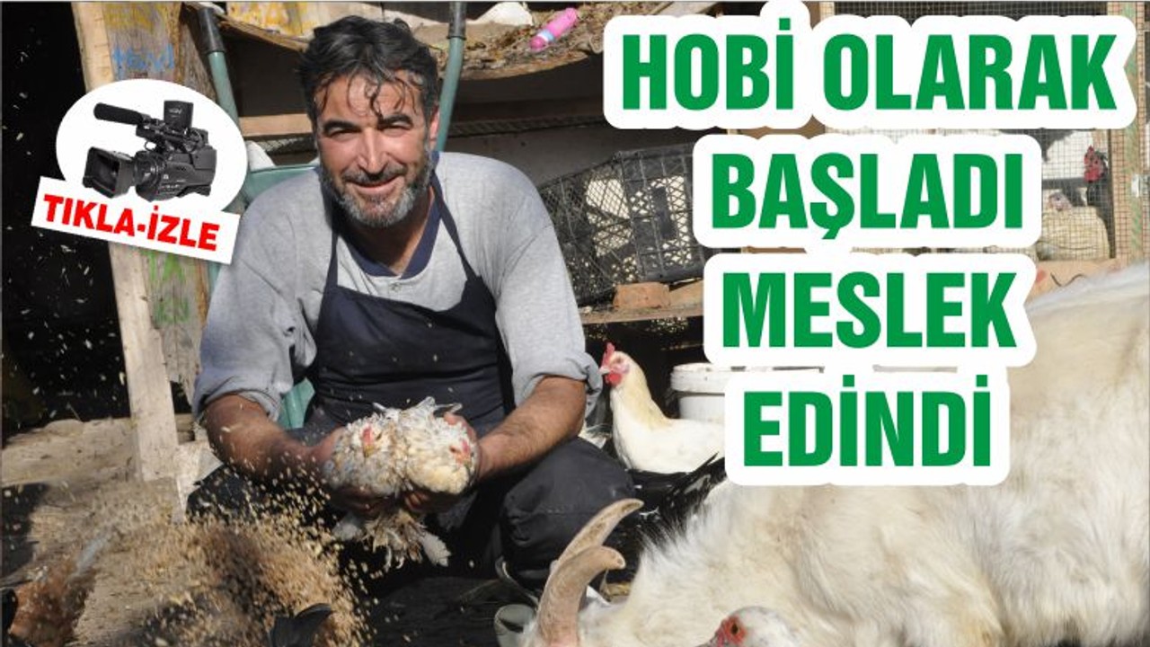 HOBİ OLARAK BAŞLADI MESLEK EDİNDİ