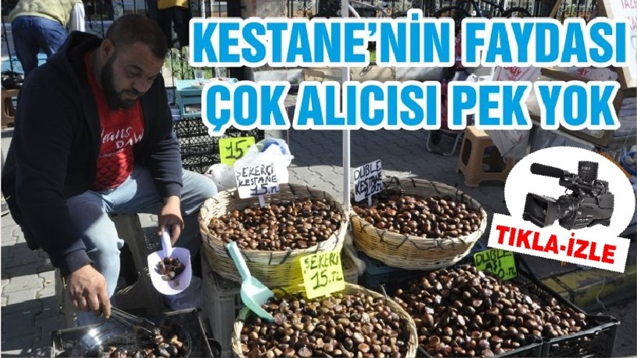 KESTANE’NİN FAYDASI ÇOK ALICISI PEK YOK