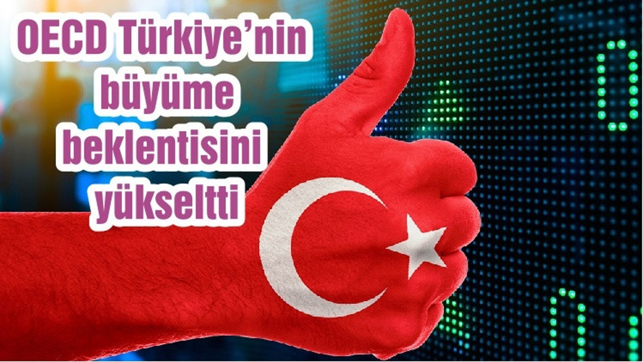 OECD Türkiye’nin büyüme beklentisini yükseltti