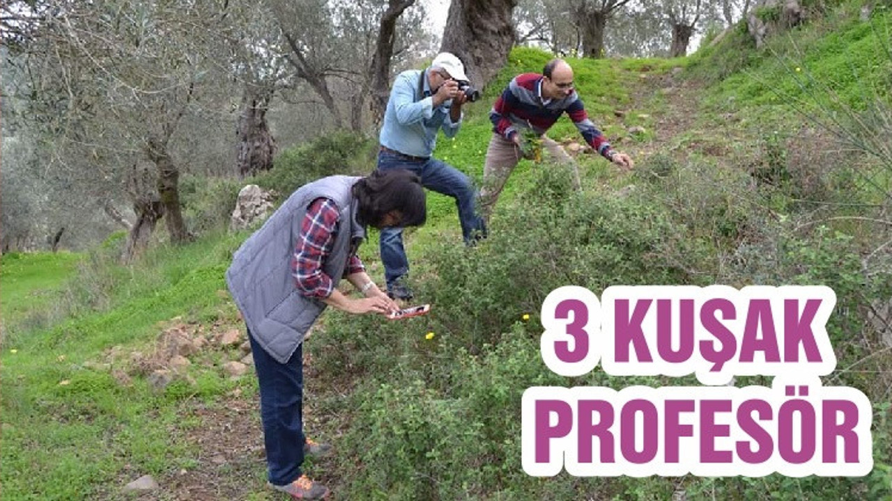 3 KUŞAK PROFESÖR