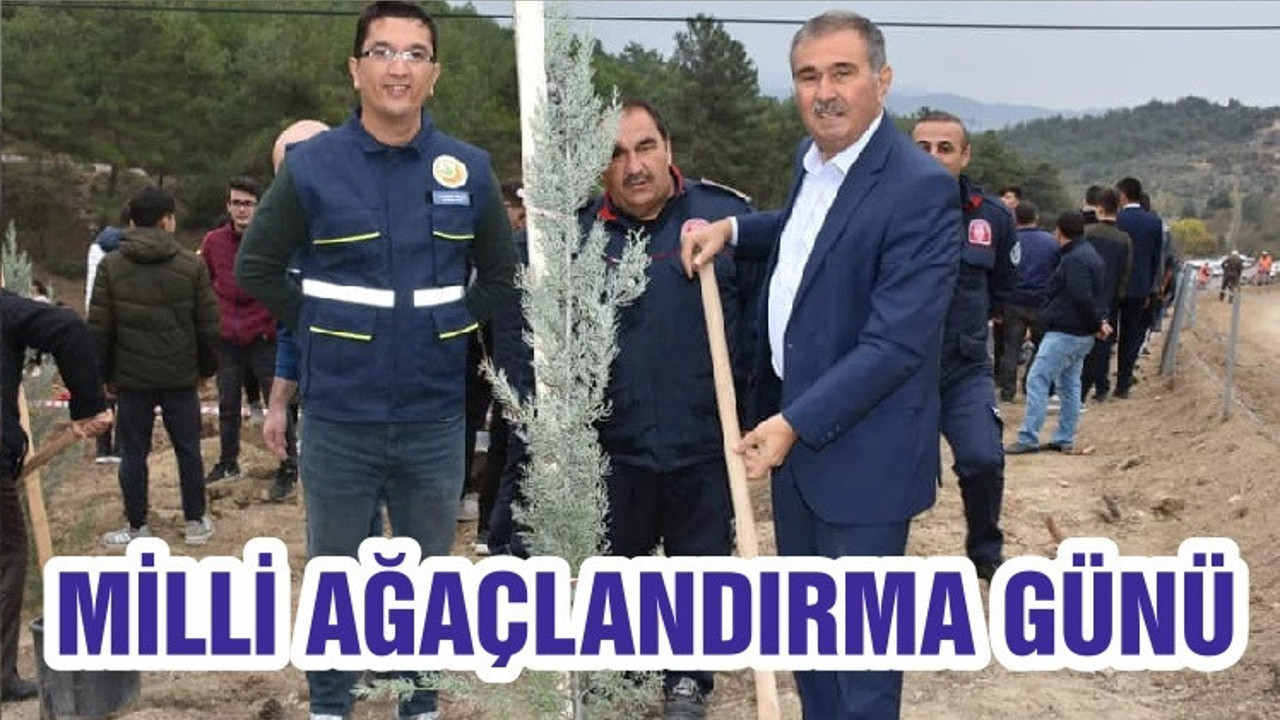 MİLLİ AĞAÇLANDIRMA GÜNÜ