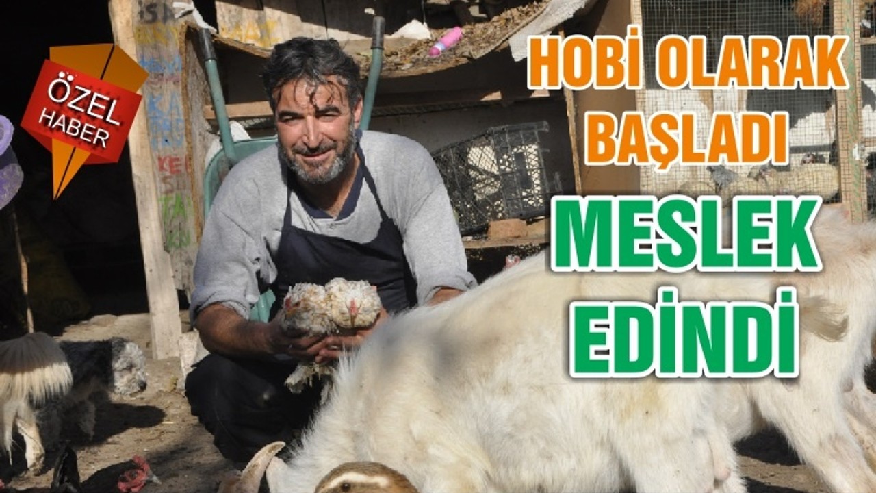 HOBİ OLARAK BAŞLADI MESLEK EDİNDİ