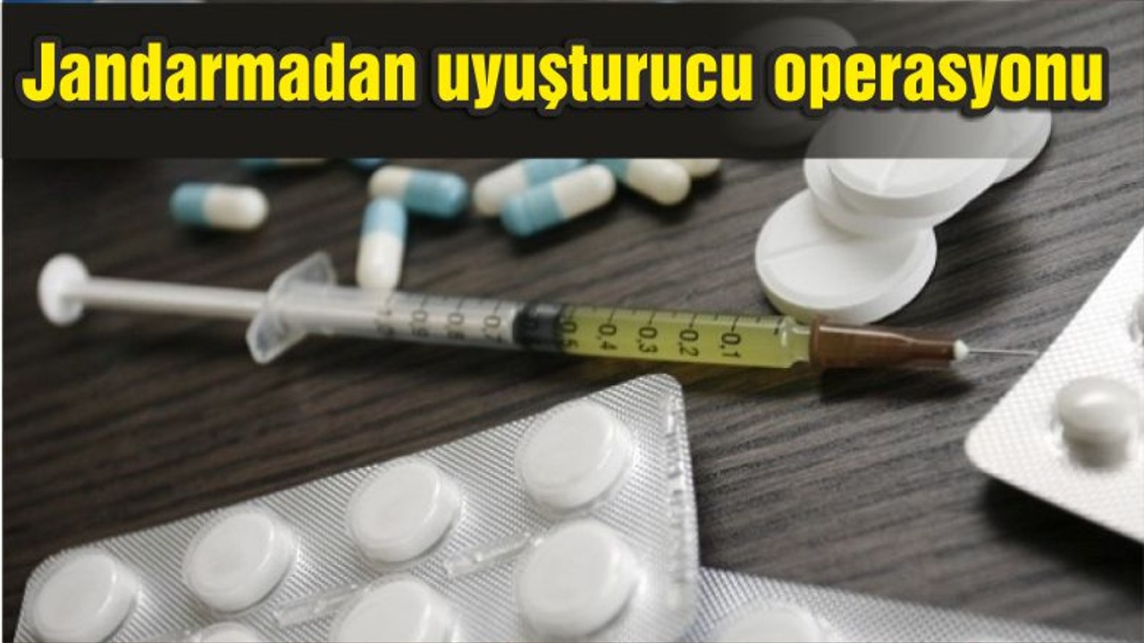 Jandarmadan uyuşturucu operasyonu