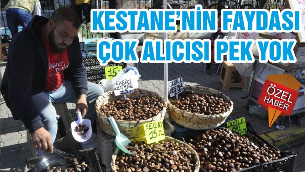 KESTANE’NİN FAYDASI ÇOK ALICISI PEK YOK