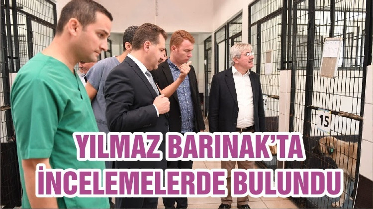 YILMAZ BARINAK’TA İNCELEMELERDE BULUNDU
