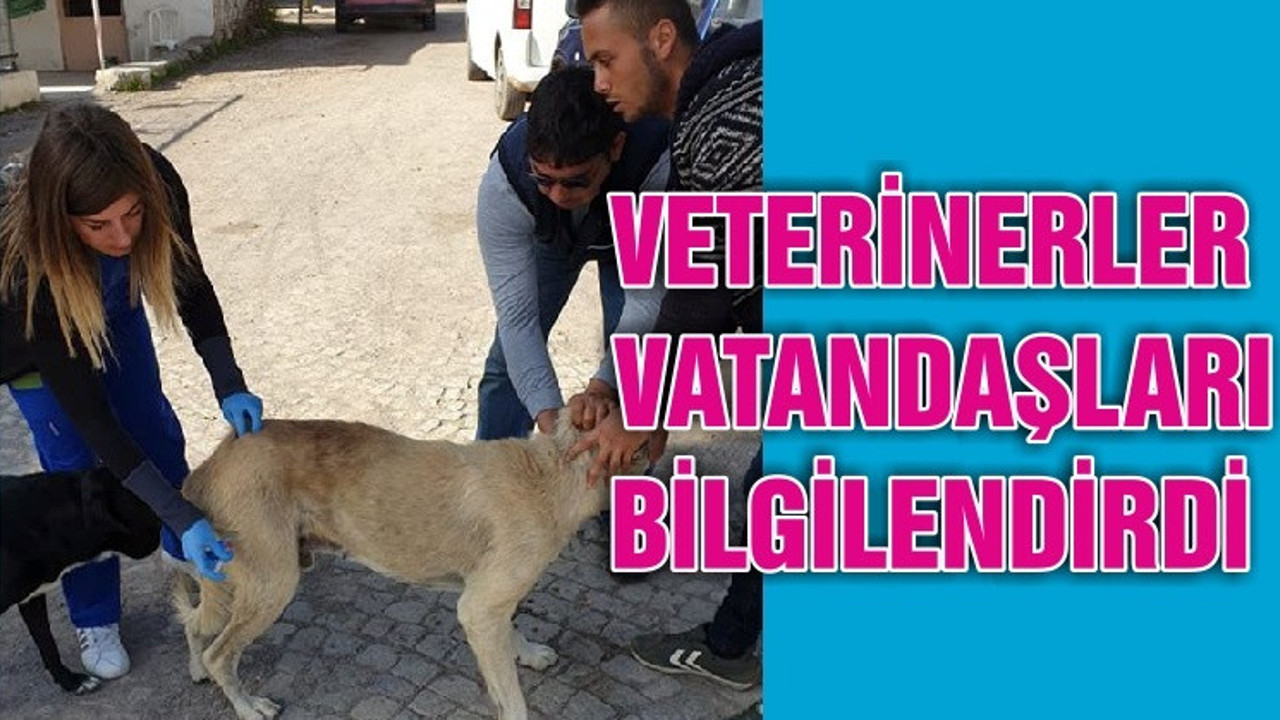VETERİNERLER VATANDAŞLARI BİLGİLENDİRDİ