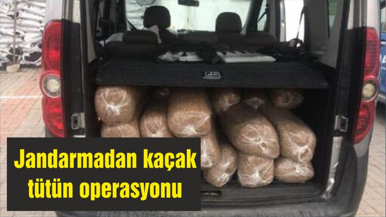 Jandarmadan kaçak tütün operasyonu