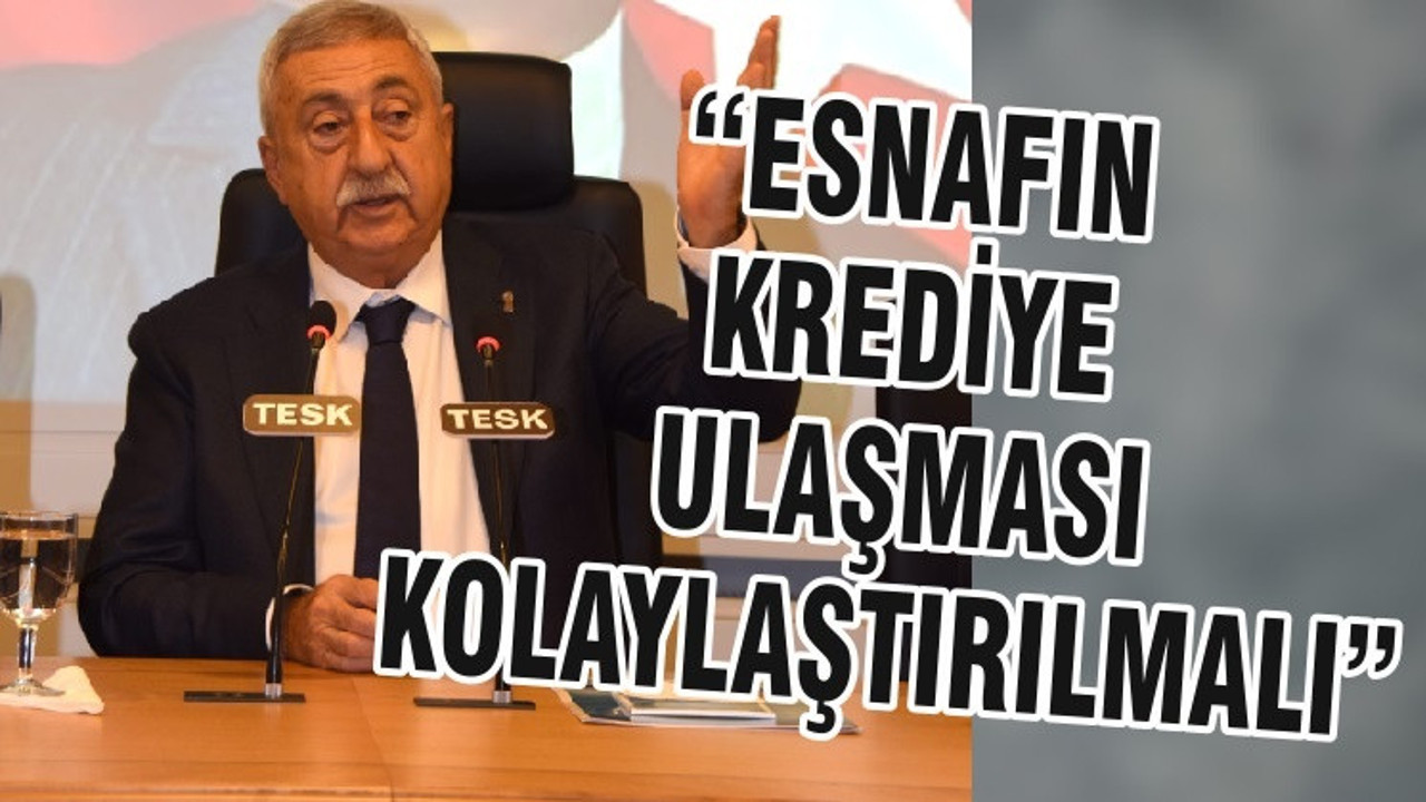 “ESNAFIN KREDİYE ULAŞMASI KOLAYLAŞTIRILMALI”