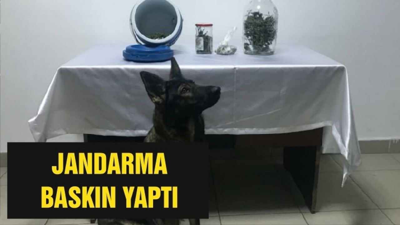JANDARMA BASKIN YAPTI