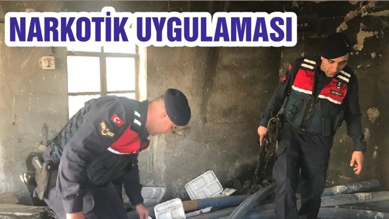NARKOTİK UYGULAMASI
