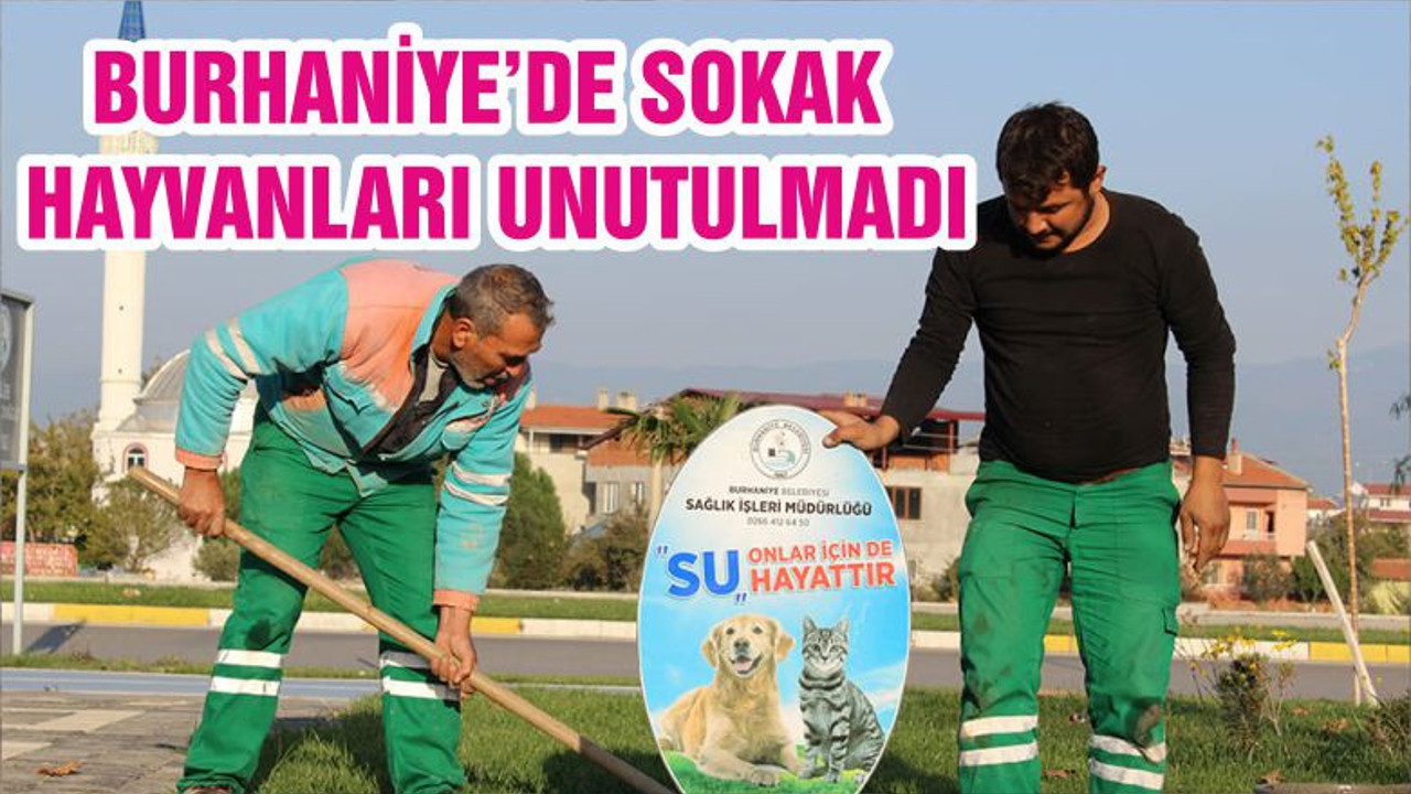 BURHANİYE’DE SOKAK HAYVANLARI UNUTULMADI
