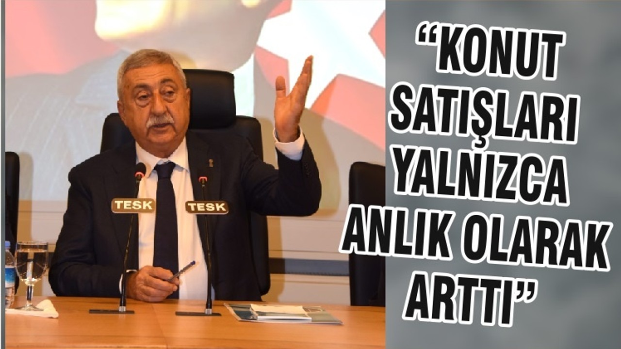 “KONUT SATIŞLARI YALNIZCA ANLIK OLARAK ARTTI”