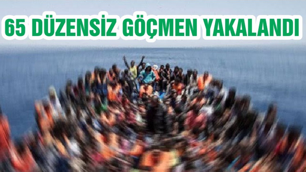 65 DÜZENSİZ GÖÇMEN YAKALANDI