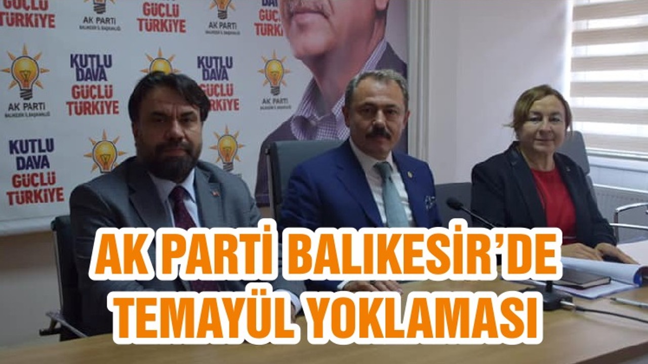 AK PARTİ BALIKESİR’DE TEMAYÜL YOKLAMASI