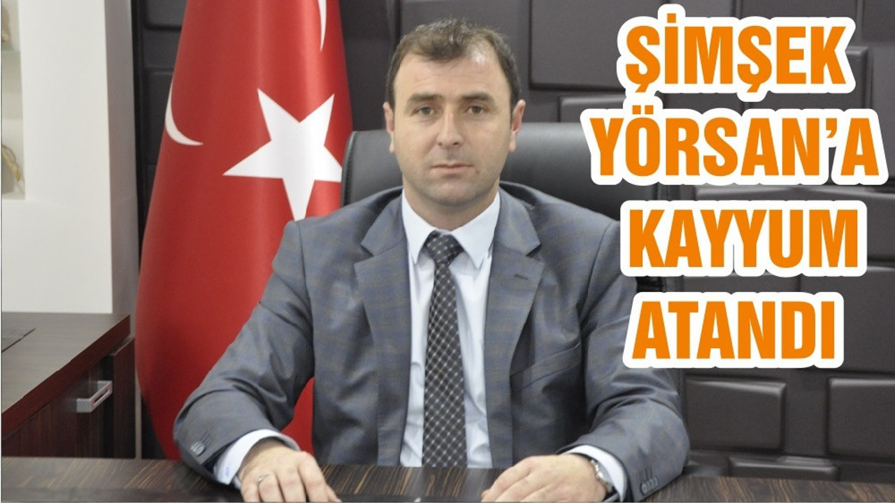 ŞİMŞEK YÖRSAN’A KAYYUM ATANDI
