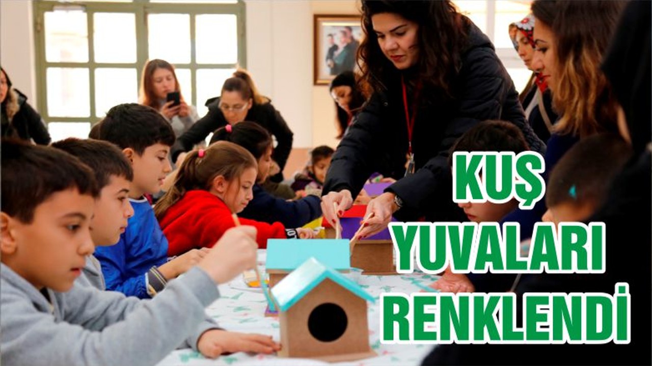 KUŞ YUVALARI RENKLENDİ