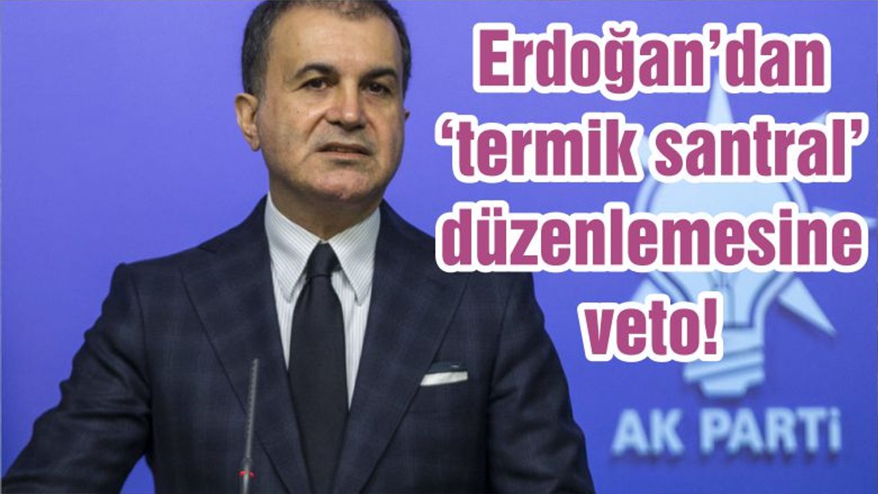 Erdoğan’dan ‘termik santral’ düzenlemesine veto!