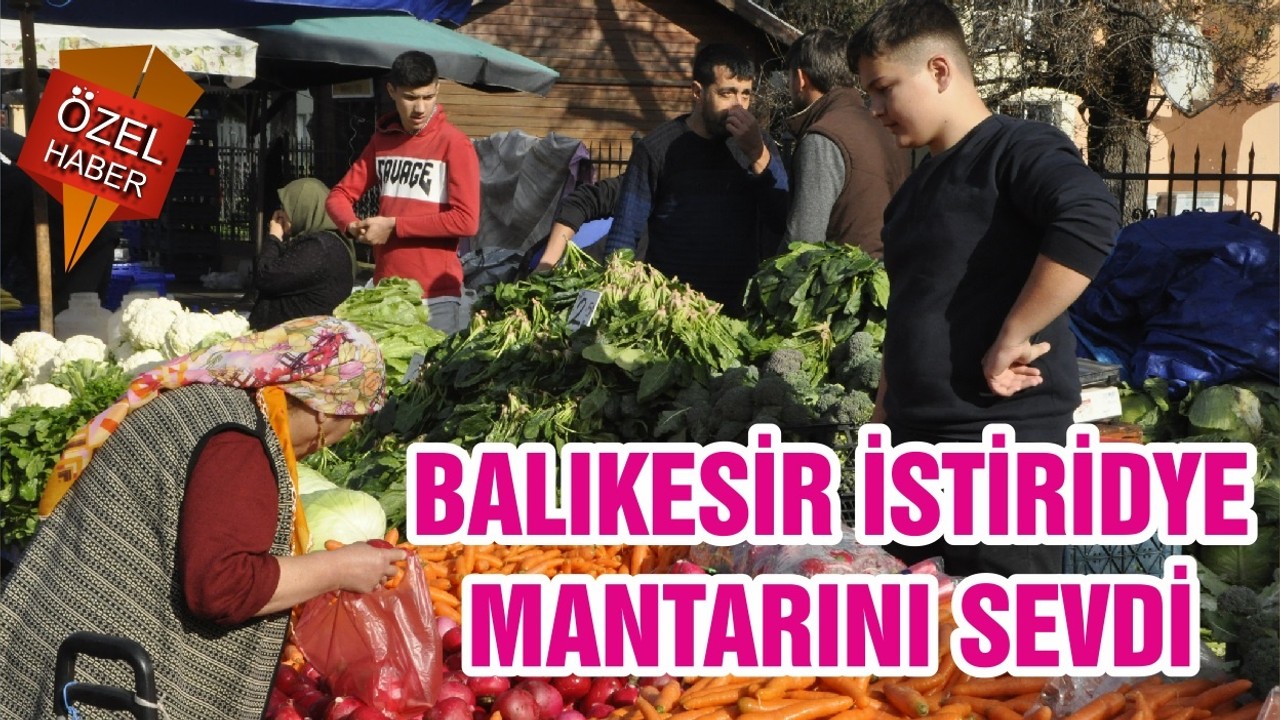 BALIKESİR İSTİRİDYE MANTARINI SEVDİ