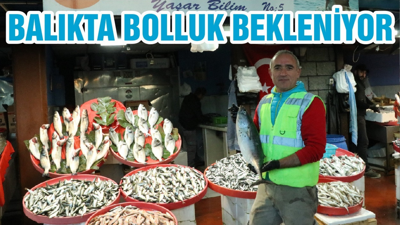 BALIKTA BOLLUK BEKLENİYOR